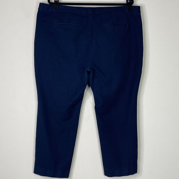 Banana Republic Ryan Slim Straight Washable Bi-Stretch Pant Plus Size 20 Short - Picture 2 of 8